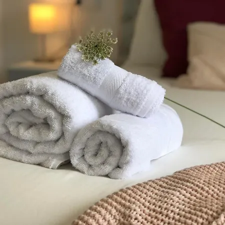 El Nidito De Lara Santiago de Compostela