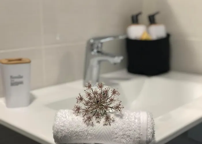 公寓 El Nidito De Lara 圣地亚哥－德孔波斯特拉